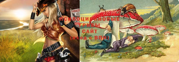 ГАЛЛЮЦИНОГЕННЫЕ ГРИБЫ Карпинск