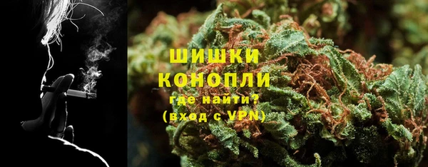 ГАЛЛЮЦИНОГЕННЫЕ ГРИБЫ Карпинск