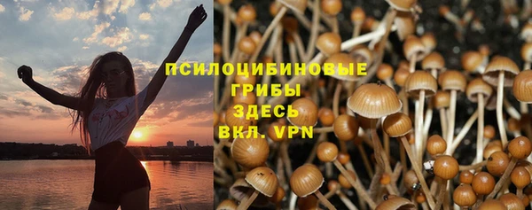 дживик Карталы
