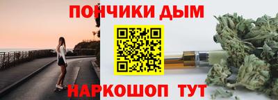 амф Гатчина