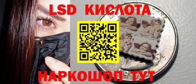амф Гатчина