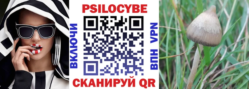 Псилоцибиновые грибы MAGIC MUSHROOMS  blacksprut зеркало  Алапаевск 
