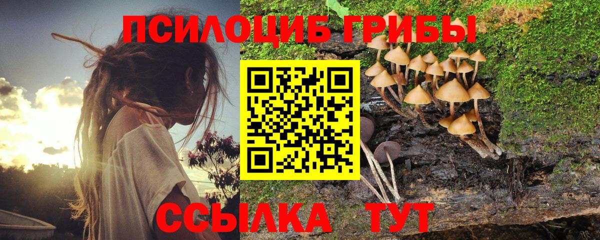 цены наркотик  Вход с VPN  Галлюциногенные грибы Psilocybe  Алапаевск  Галлюциногенные грибы MAGIC MUSHROOMS 