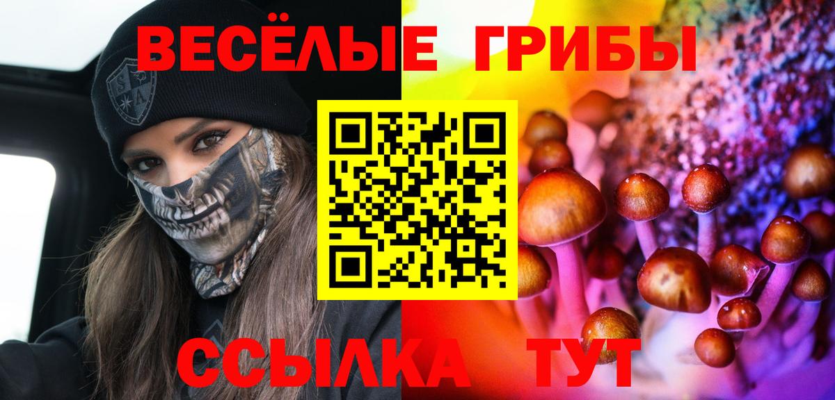 Галлюциногенные грибы GOLDEN TEACHER Алапаевск